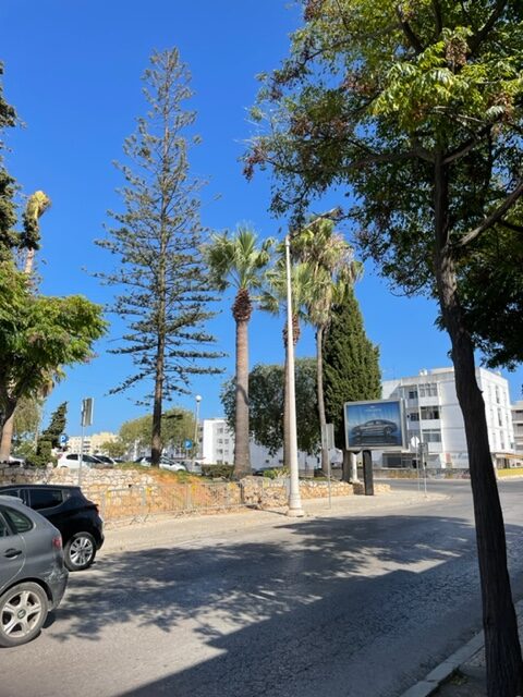 Walking In Our Bairro (Neighborhood)