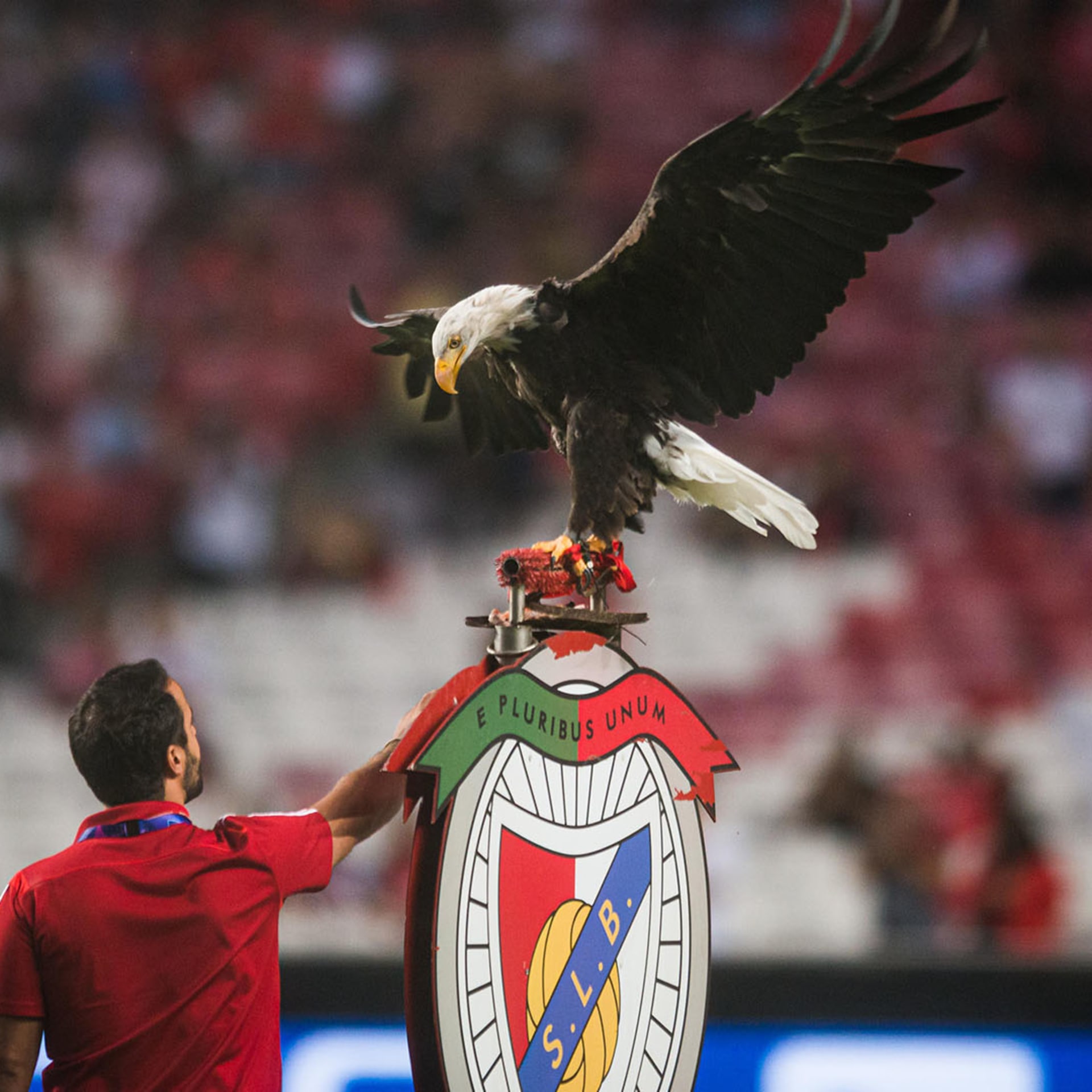 We Traded That For This