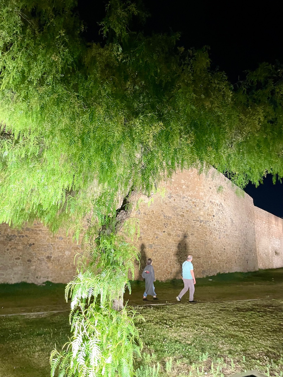 The Perfectly Imperfect Day