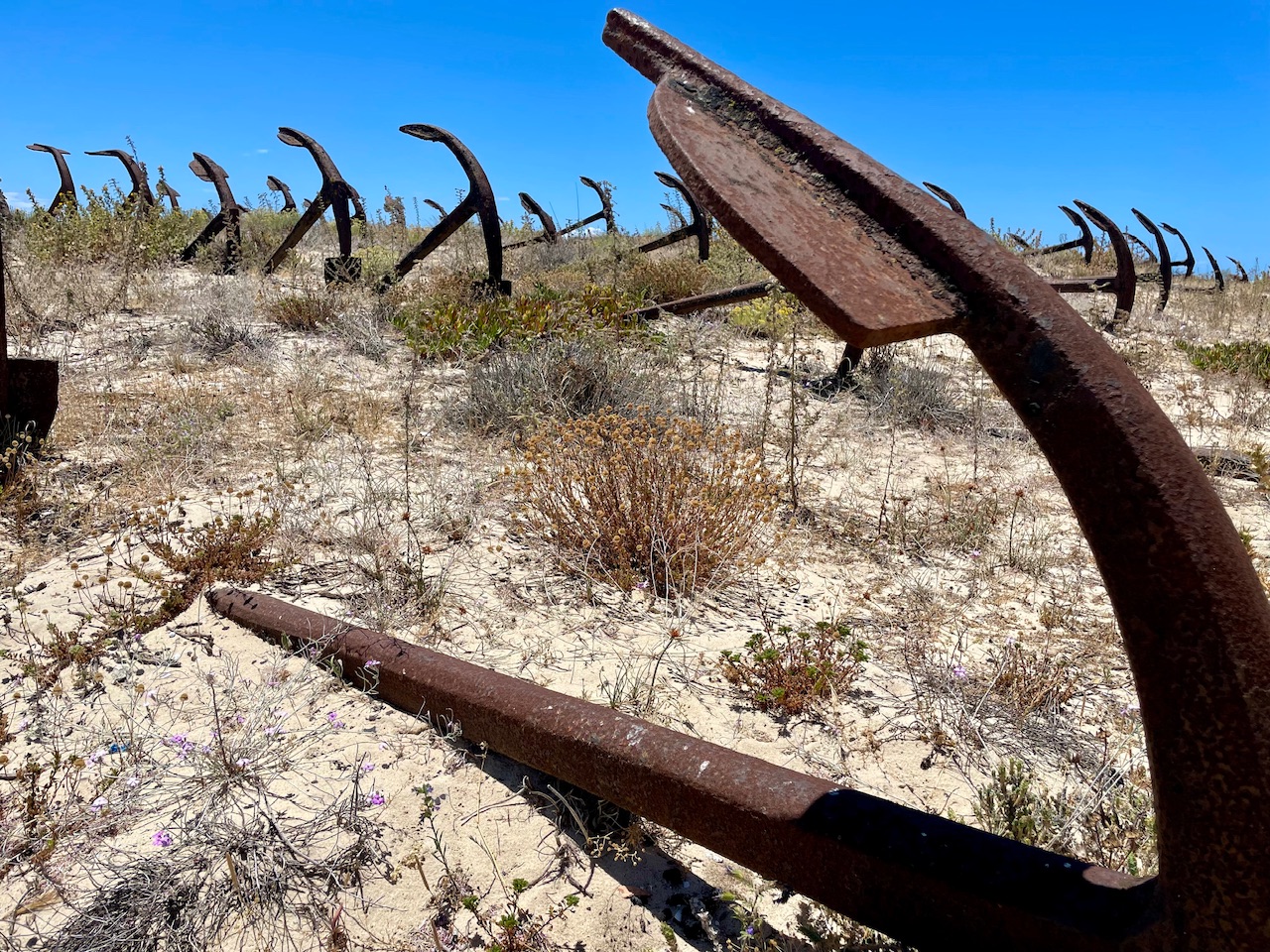 SO Many Algarve Beaches