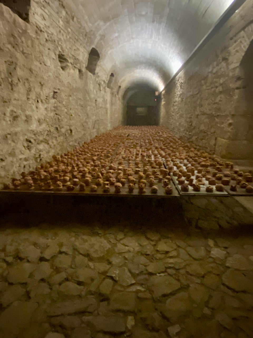 Coimbra: Creepy Art In A Cryptoporticus And Higher Education