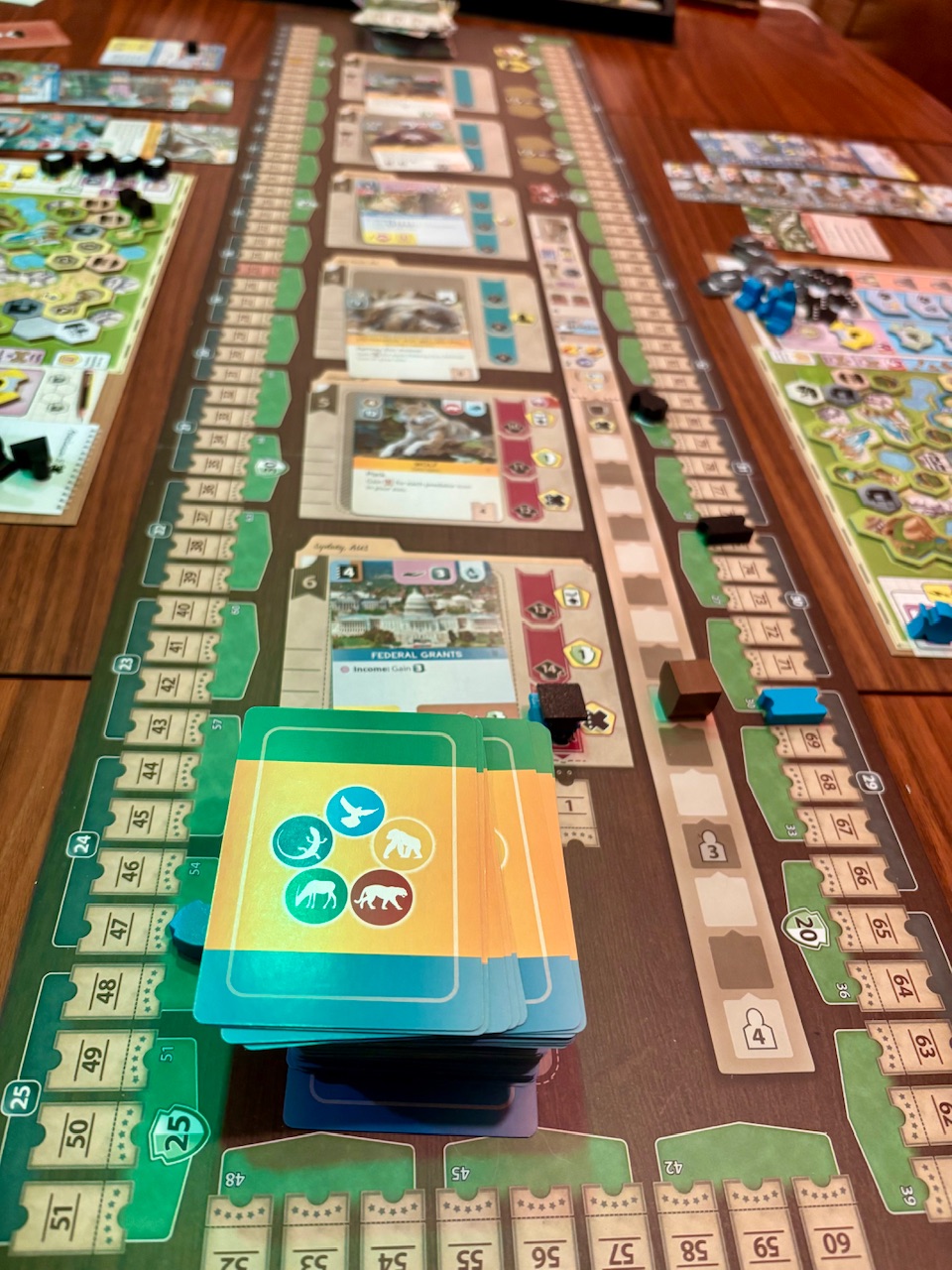 Ark Nova:  A Zoo Building Boardgame