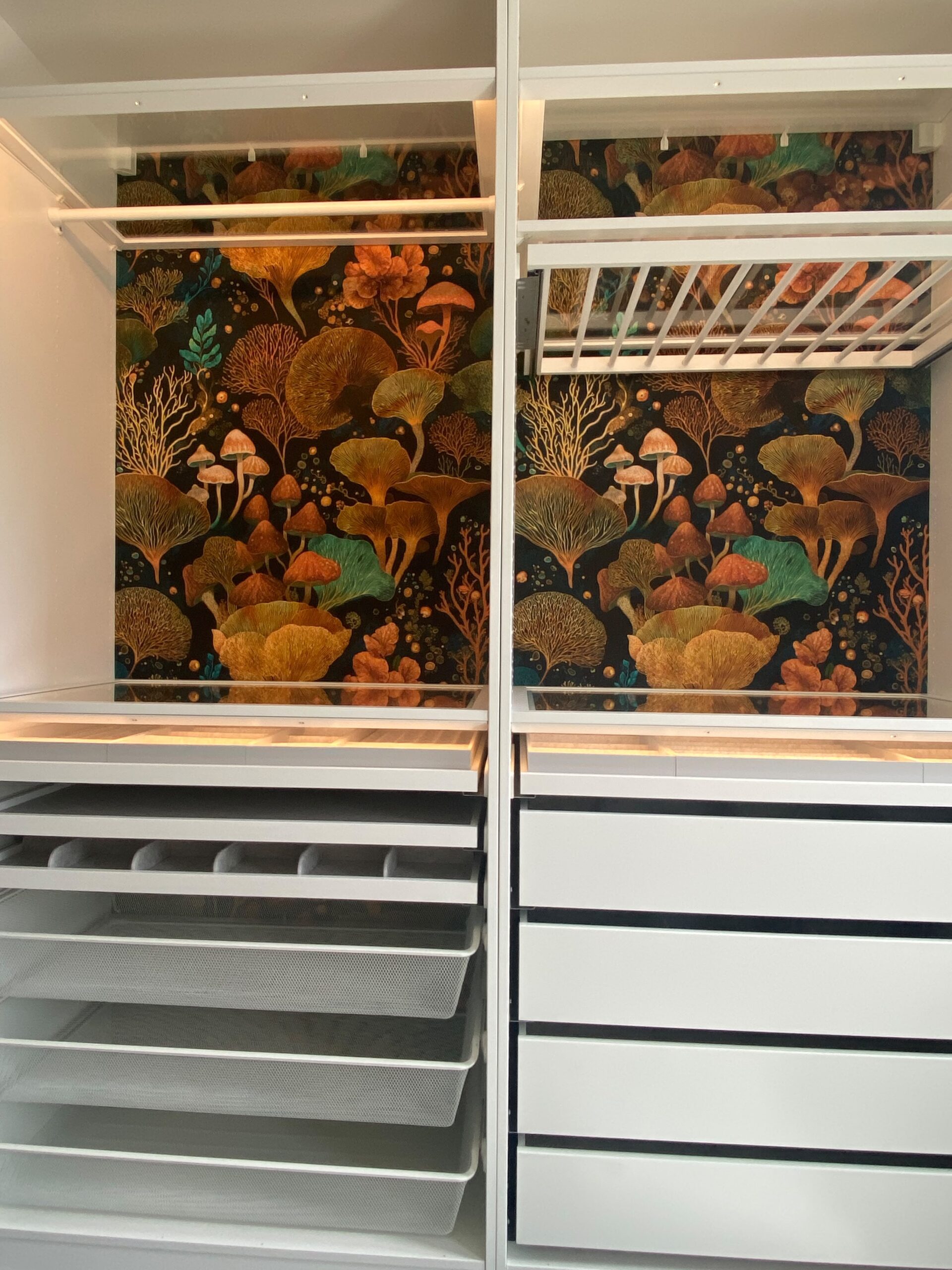 Wardrobe Wizardry With Magical Mushrooms